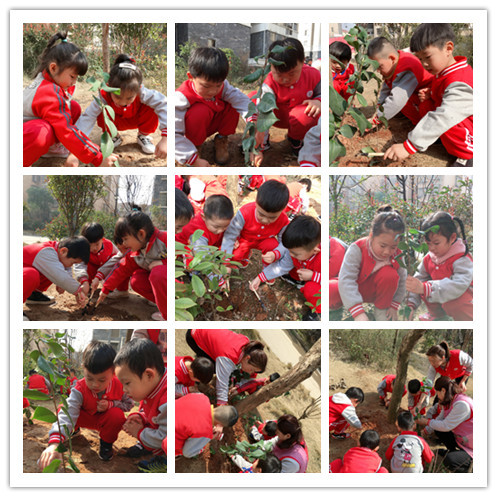 tu_副本.jpg tu_副本.jpg