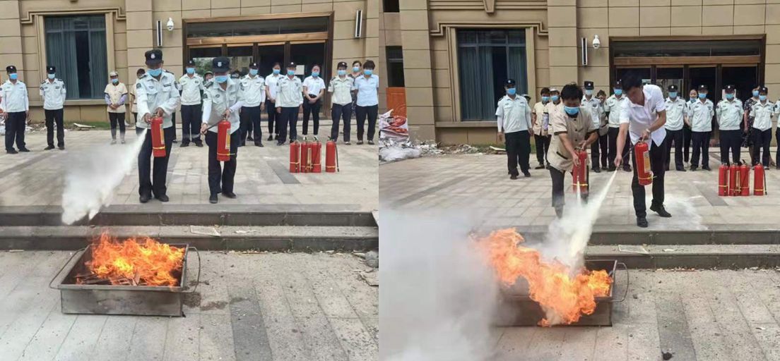 樟樹4.jpg 樟樹4.jpg