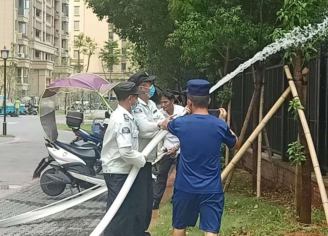 樟樹1.jpg 樟樹1.jpg