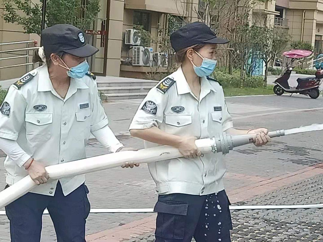 樟樹2.jpg 樟樹2.jpg