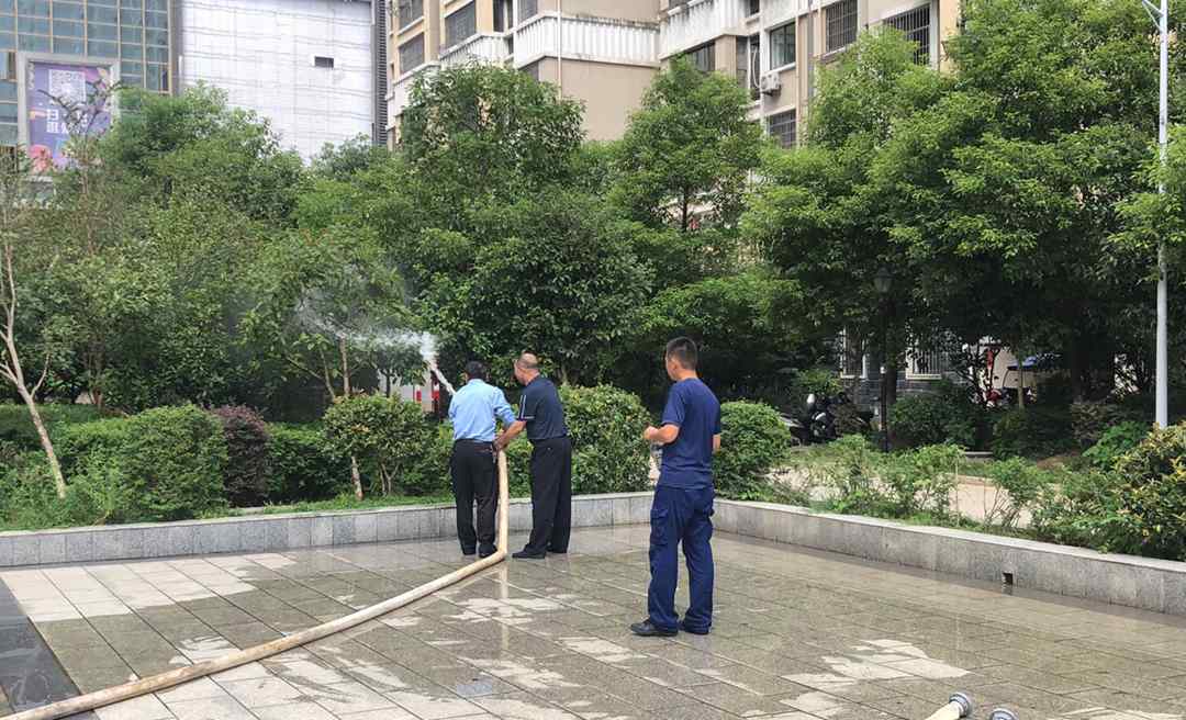 聚龍5.jpg 聚龍5.jpg